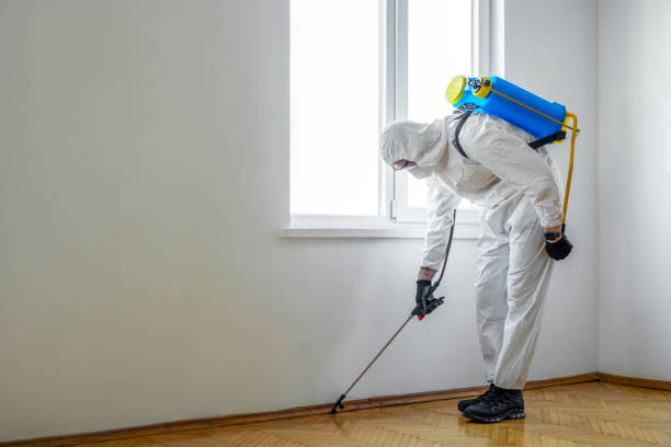 Emergency Pest Control in Shady Shores, TX